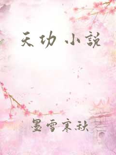 天功 小说