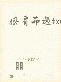 擦肩而过txt