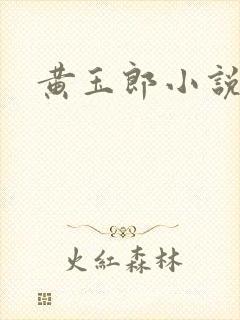 黄玉郎小说