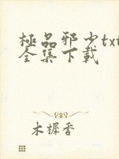 极品邪少txt全集下载