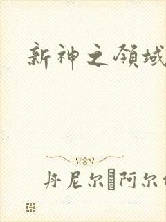 新神之领域