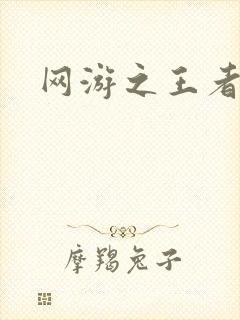 网游之王者天下