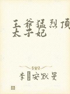 王爷猛烈顶弄H太子妃