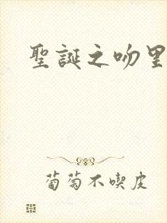 圣诞之吻里沙篇