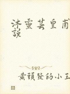 沐灵芸皇甫霆小说