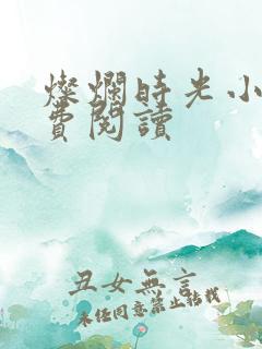 灿烂时光小说免费阅读