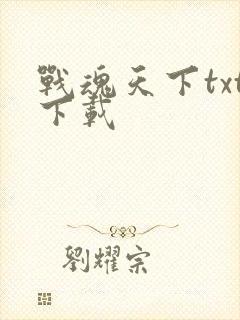 战魂天下txt下载