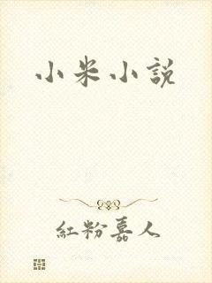 小米小说