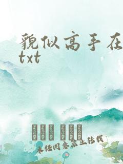 貌似高手在异界txt
