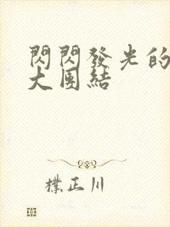 闪闪发光的小说大团结