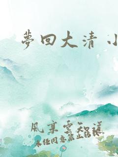 梦回大清 小说