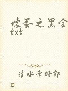 坏蛋之黑金帝国txt