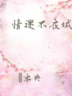 情迷不夜城