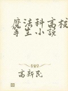 魔法科高校的劣等生小说