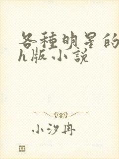 各种明星的综艺h版小说