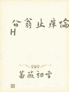 公翁止痒伦理DH