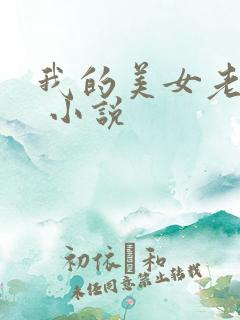 我的美女老婆们 小说