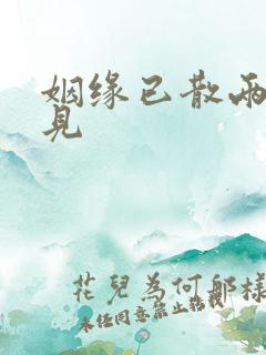 姻缘已散两不相见