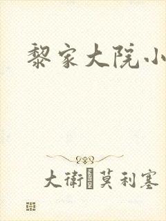 黎家大院小说