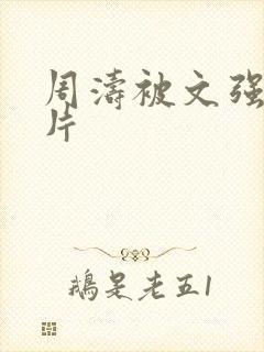 周涛被文强睡图片