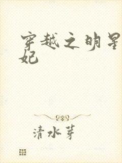 穿越之明星太子妃