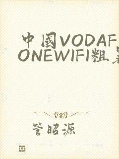 中国VODAFONEWIFI粗暴APP