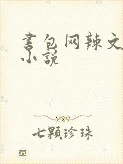 书包网辣文全本小说