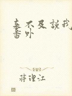 来不及说我爱你番外