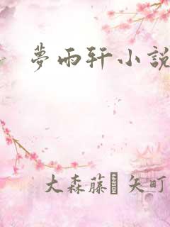 梦雨轩小说网