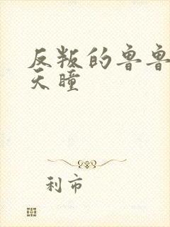 反叛的鲁鲁修之天瞳