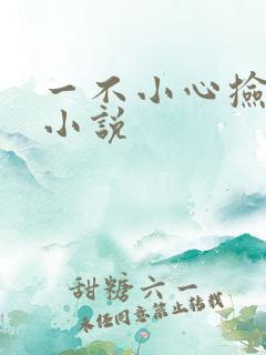 一不小心捡到爱小说