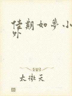 佳期如梦小说番外