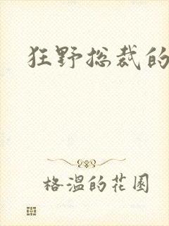 狂野总裁的女人