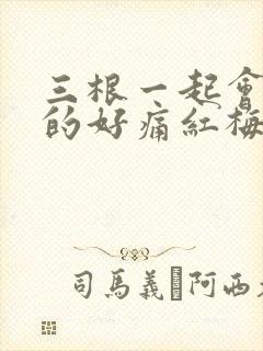 三根一起会坏掉的好痛红梅