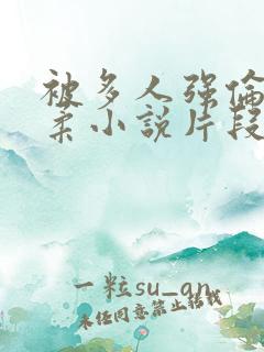 被多人强伦的小柔小说片段