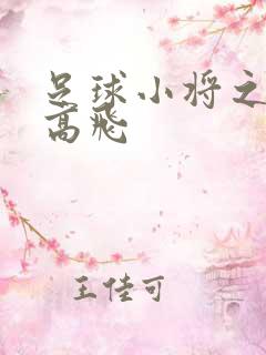 足球小将之展翅高飞