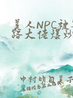 美人NPC被各路大佬爆炒小说