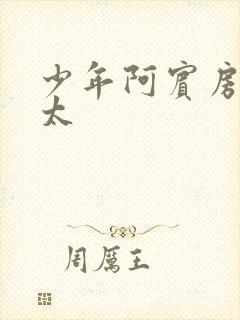 少年阿宾房东太太