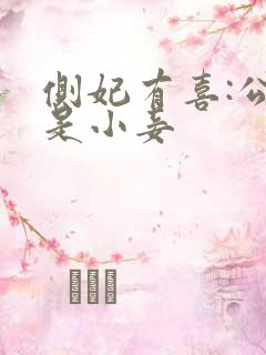 侧妃有喜:公主是小妾