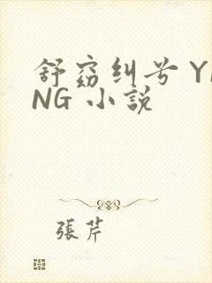 舒窈纠兮 YING 小说