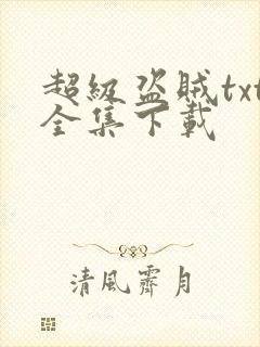 超级盗贼txt全集下载