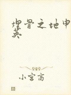 埋骨之地申屠奎英