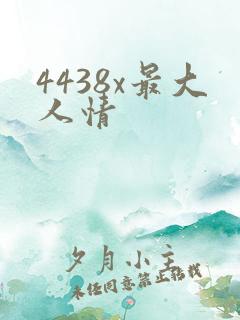 4438x最大人情