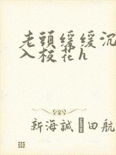 老头缓缓沉腰进入校花h