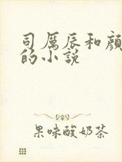 司厉辰和颜辞兮的小说