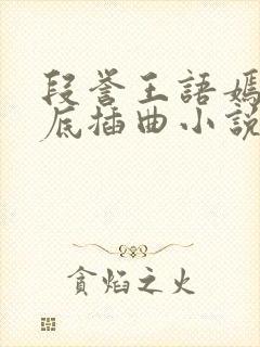 段誉王语嫣在井底插曲小说