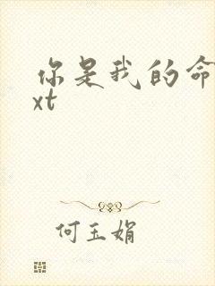 你是我的命运txt