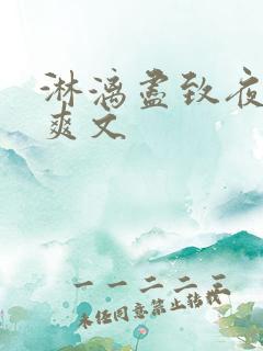 淋漓尽致夜晚小爽文