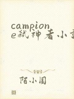 campione弑神者小说