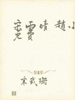 宋雨晴 赵小刚免费